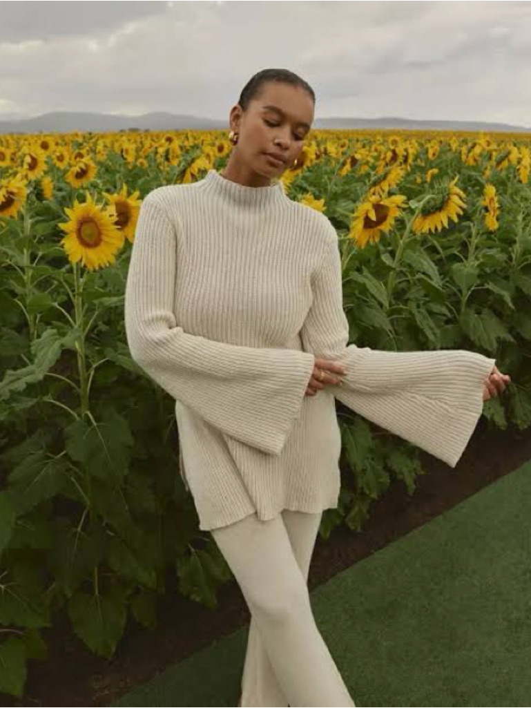 Dissh Henley Knit Tunic Sweater